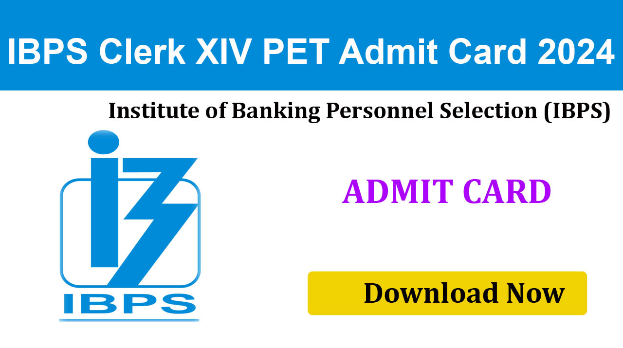 IBPS Clerk XIV Recruitment 2024 PET Admit Card 2024